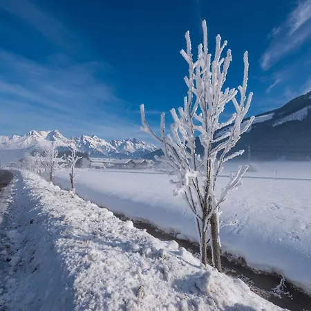 Sun Valley C1